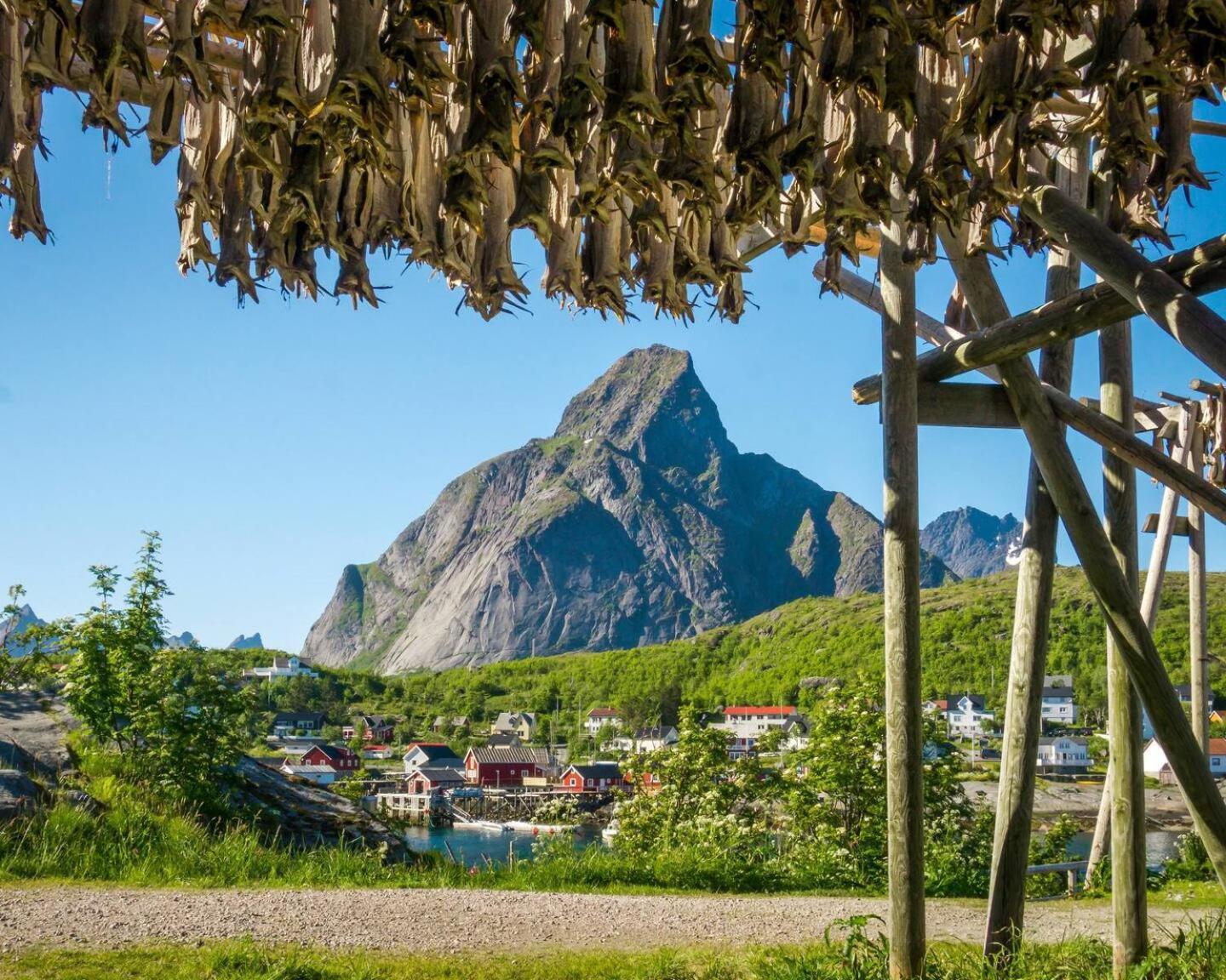 Reine Seaview Cabin Bagian luar foto